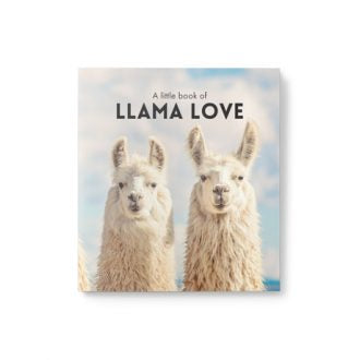 Llama love little book