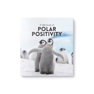 Polar positivity little book